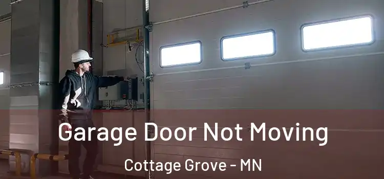  Garage Door Not Moving Cottage Grove - MN