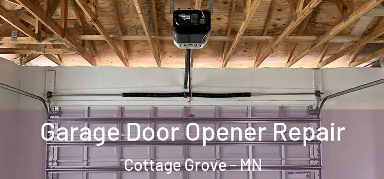  Garage Door Opener Repair Cottage Grove - MN