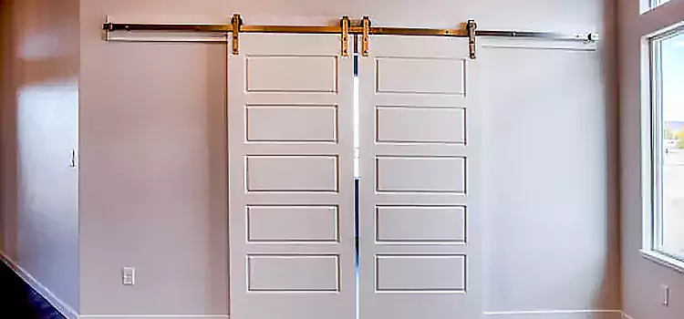 Glass Barn Door with Installation Hardware Kit Cottage Grove