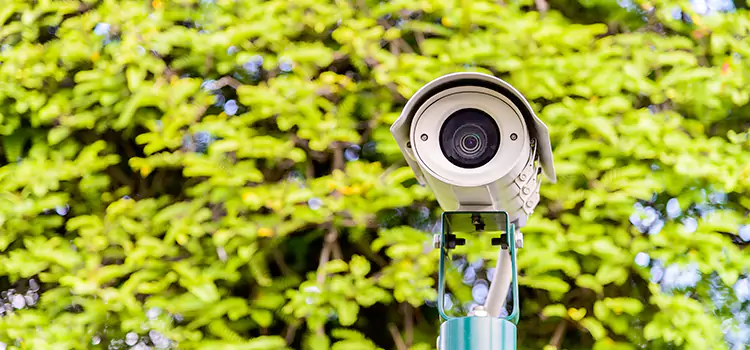 Advanced Surveillance Solutions for Every Need in Cottage Grove