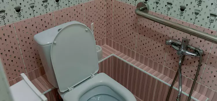 Meeting Diverse Needs With Accessible Restroom Solutions in Cottage Grove, MN