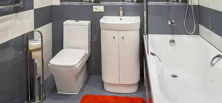Hansgrohe Shaving Mirror Cottage Grove